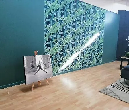 Studio Atypique En Plein Centre Апартаменты *